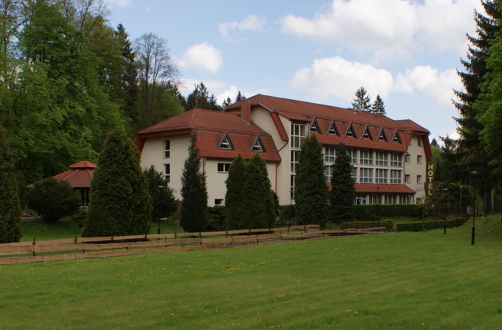 Hotel I Restauracja Złoty Las Kültér fotó